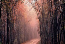 开云体育平台APP-德国战冰岛，角逐欧洲杯名额