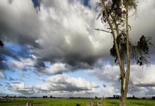 开云体育官方网站-血染绿茵！塞浦路斯女足0-12遭瑞士屠戮，出线之路几近崩塌