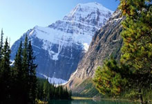 开云体育平台APP-卡尔蒂斯主场迎战阿尔艾因，锋线火力引爆看点