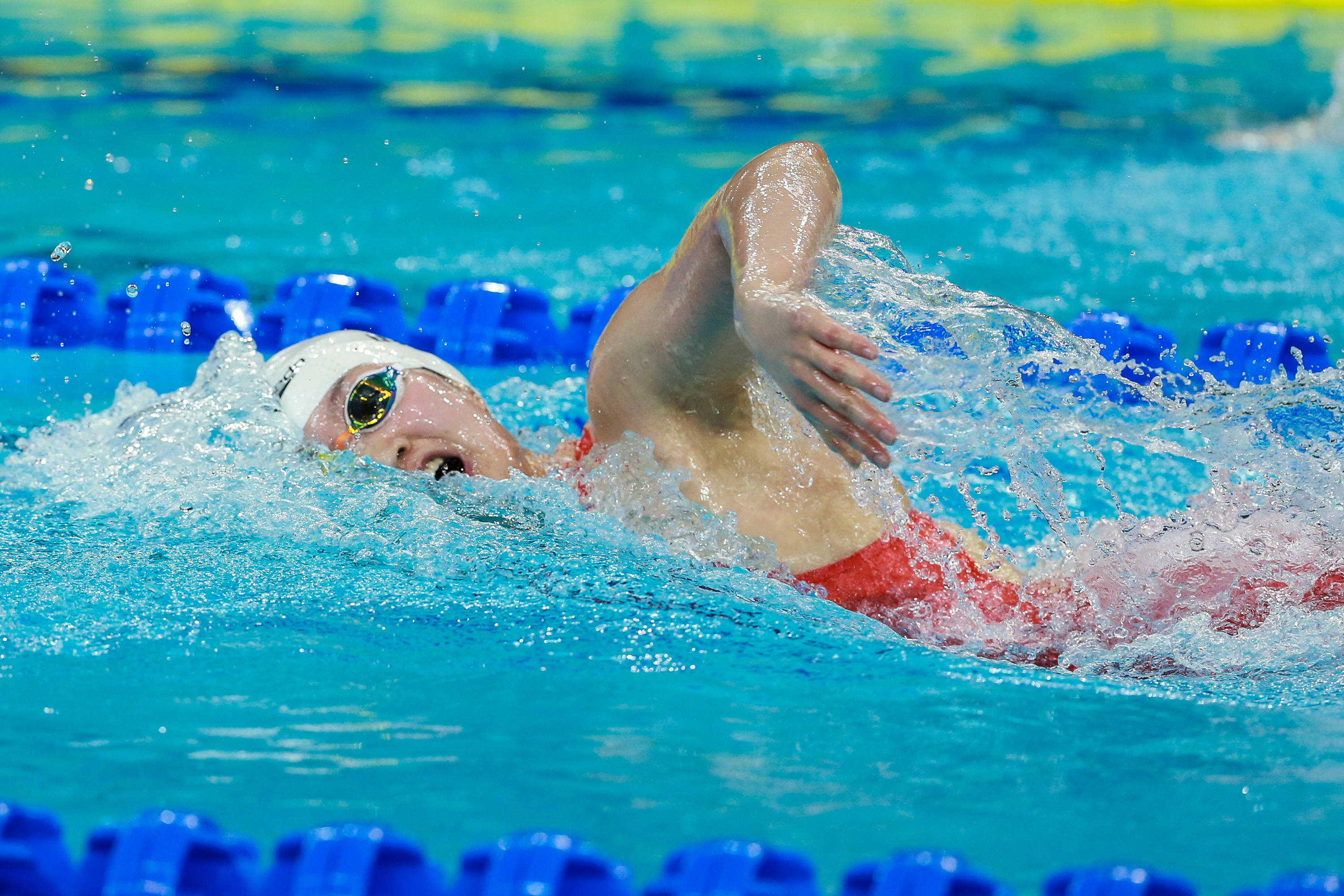 法国游泳队完美表现，登顶领奖台