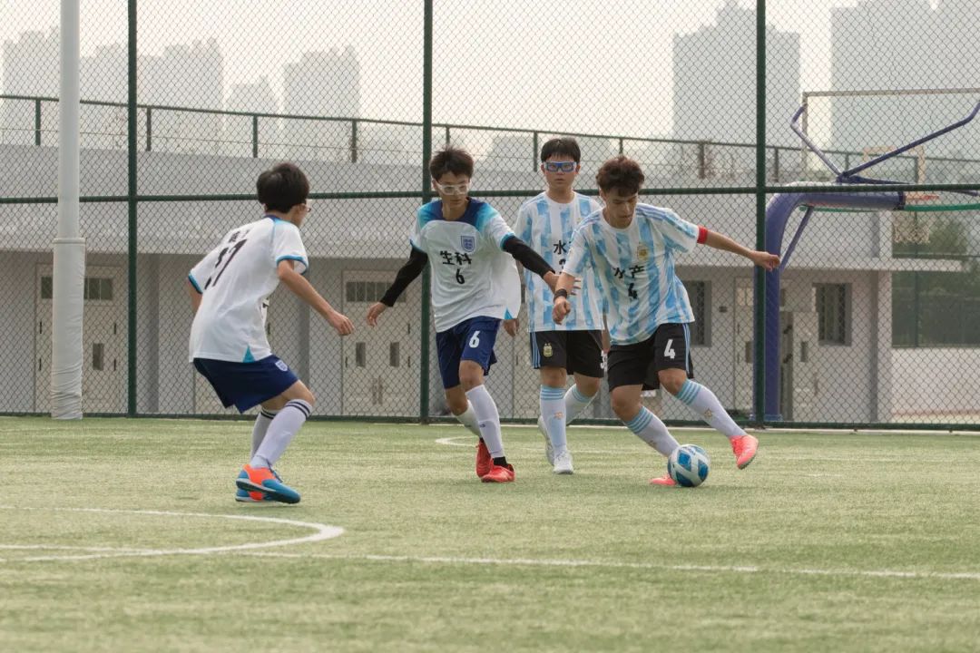 红蓝战队在绿茵场上展开激烈争斗