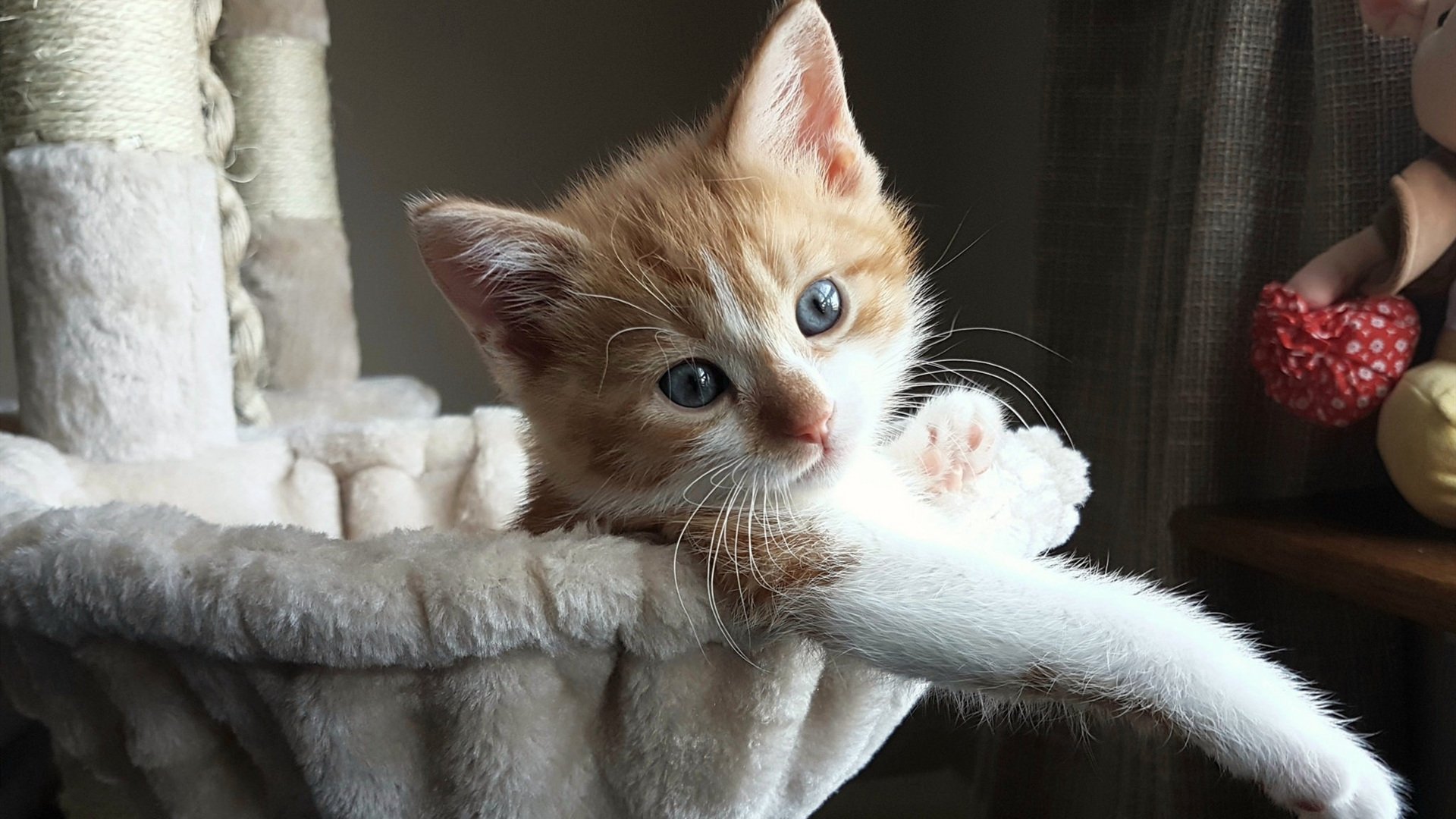 开云体育-爱德华兹的爆发与雄鹿的节奏艺术，掌控吉林队的篮球启示录