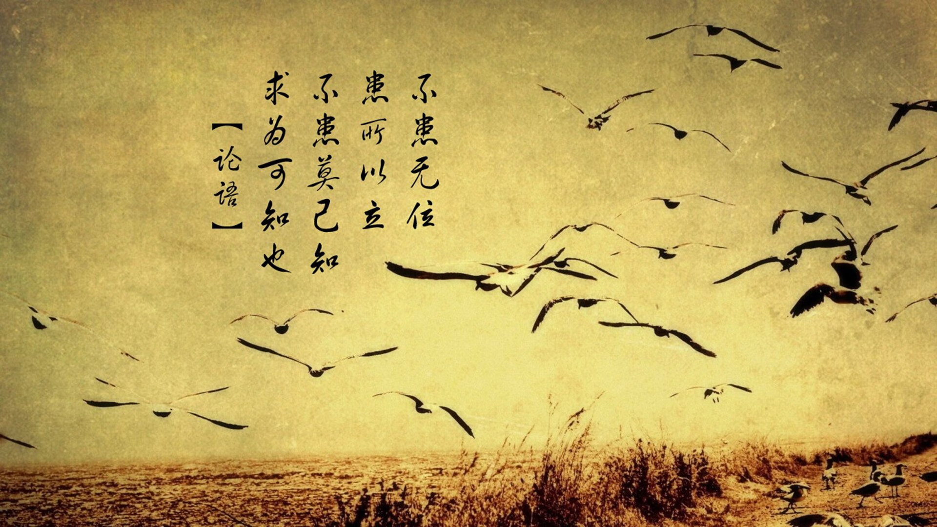 -德甲争冠战之夜，小贾伦横空出世主宰全场