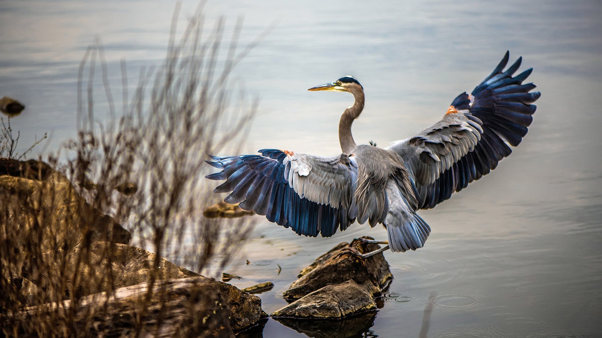 莫德里奇式魔法点燃友谊赛,委内瑞拉与土耳其的跨洲对决