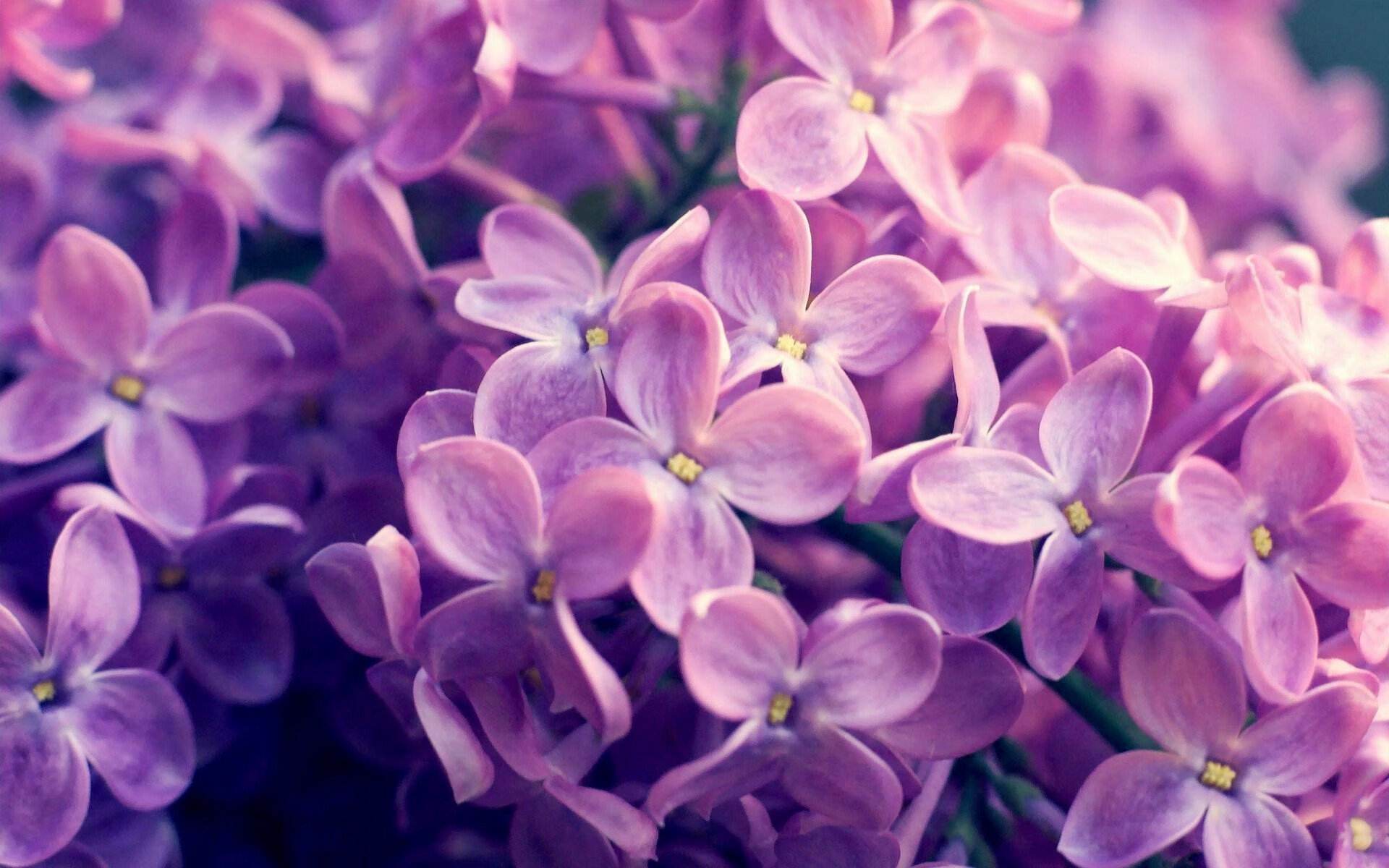 开云体育登录-铁闸横江，布克一役锁乾坤，国王防线筑起叹息之墙