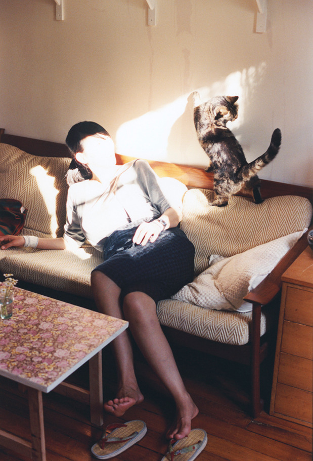 开云体育APP下载-范戴克实力证王者归来，伊朗决胜局力克爱尔兰—足球场上的坚韧与荣耀