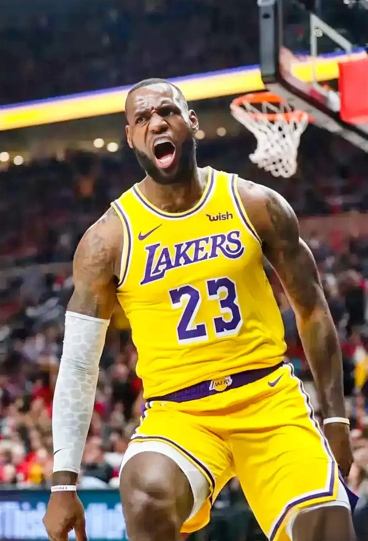 森林狼踏平公牛，拉梅洛节奏完全掌控