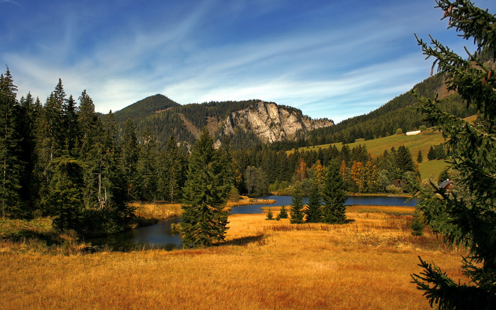 赛道上的南非奇迹，一位年轻车手如何一波带走瑞士引擎神话
