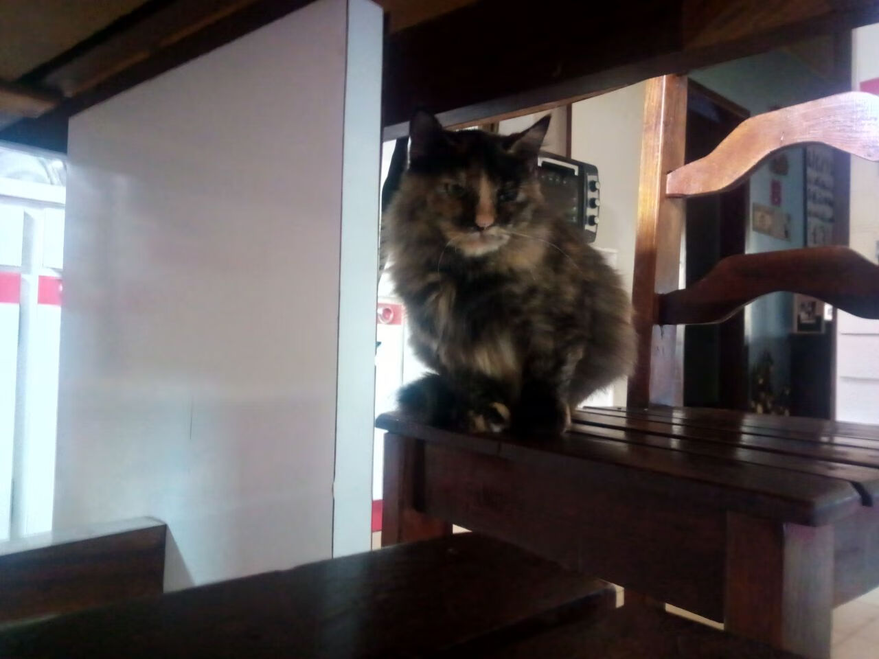 赛道上的降维打击，当奇才以智慧与技术，在钢铁丛林中碾压骑士的荣耀