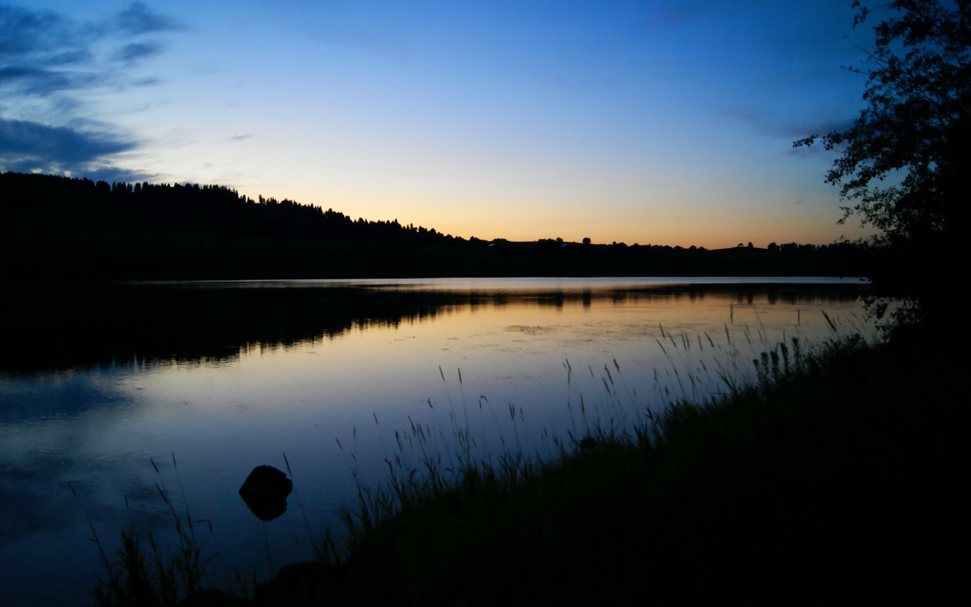 湖人压哨绝杀爵士，约基奇世界舞台展统治力，篮球双星闪耀全球
