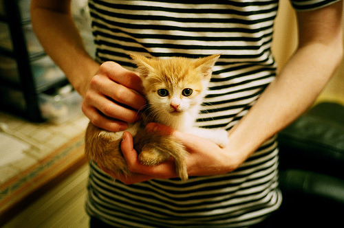 热浪吞噬菲尼克斯,新疆队火力全开,福克斯一锤定音成胜负手