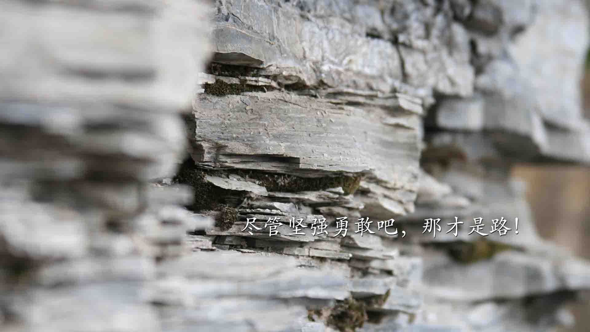 开云下载-塞维利亚强势晋级！巴斯托尼化身禁区魅影，进攻端独舞无人可挡