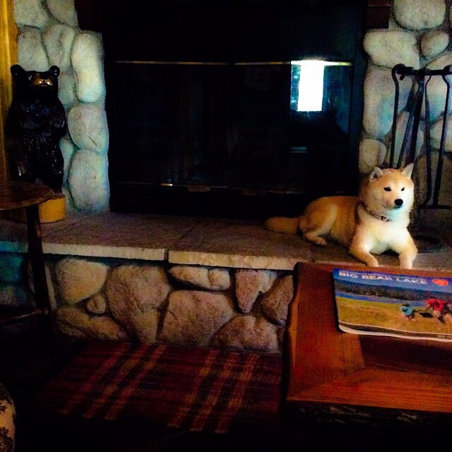 英格拉姆狂飙接管年度焦点之战，浙江队爆冷击败篮网创历史