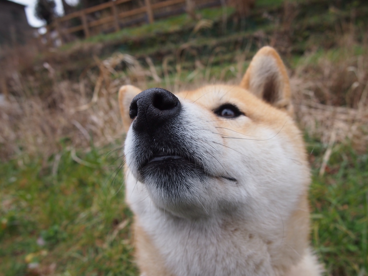 双城记，当库里三分雨落长春，詹姆斯在伦敦接过权杖